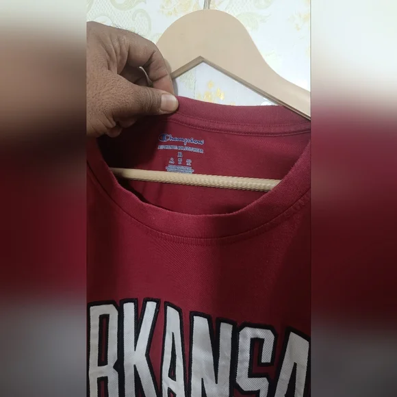 Champion - Picture 3 of 5